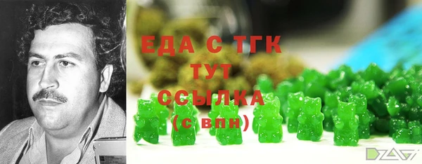 индика Алексин