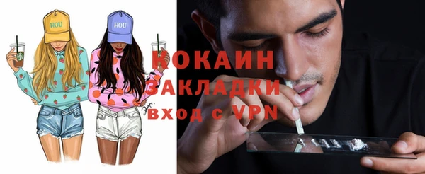 индика Алексин