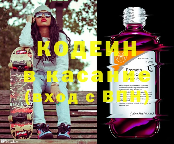 индика Алексин