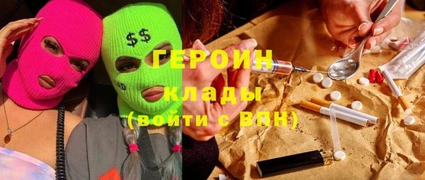 индика Алексин