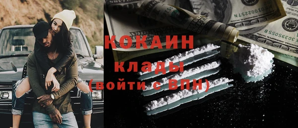 индика Алексин