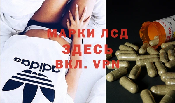 индика Алексин