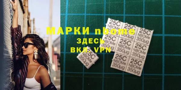 индика Алексин