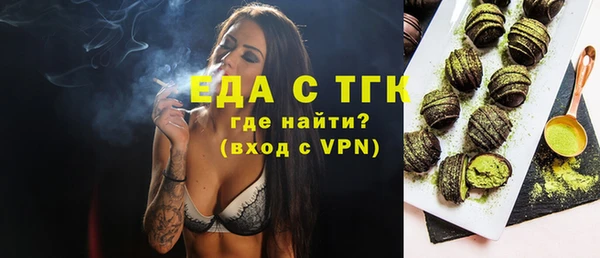 индика Алексин