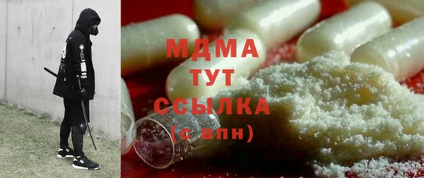 индика Алексин